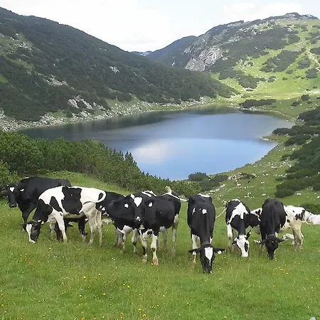 Séjour à la ferme Denggalahof *