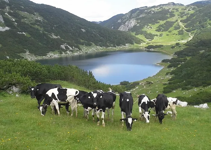 Alloggio per agriturismo Denggalahof *